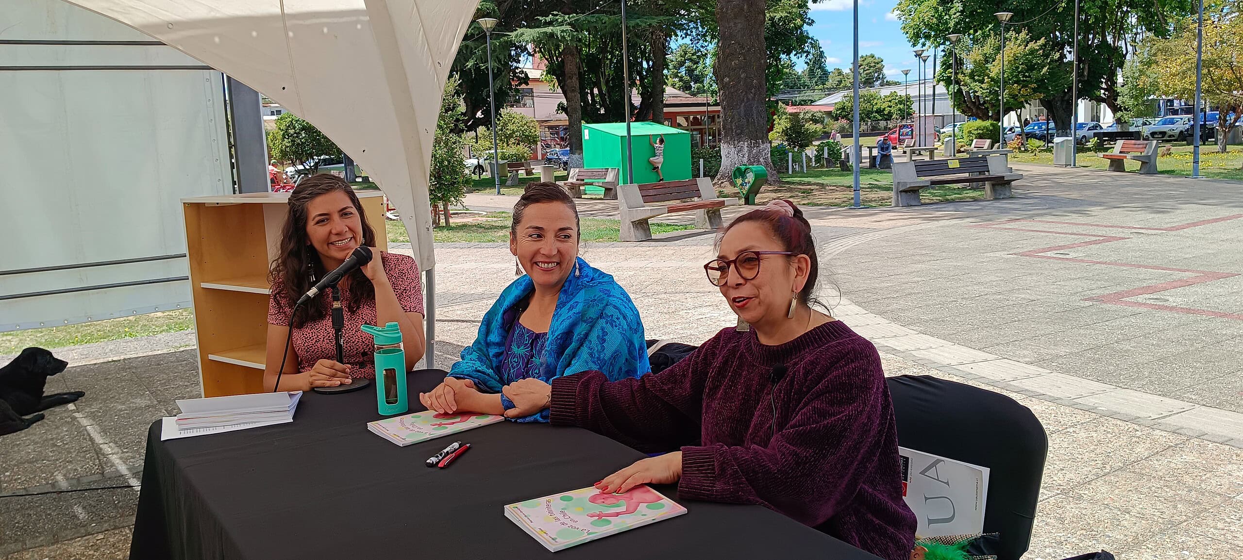 Lanzamiento del libro La voz de las titiriteras en Chile en Festicuentos Gorbea